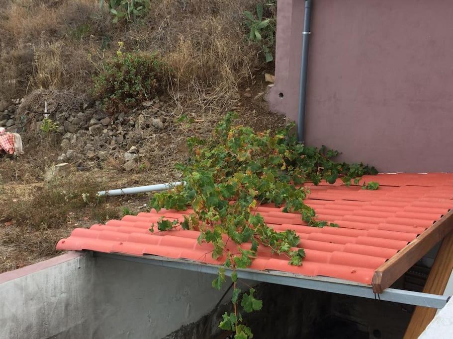 Casa-Solarium En La Naturaleza Santa-Cruz de Ténérife Extérieur photo